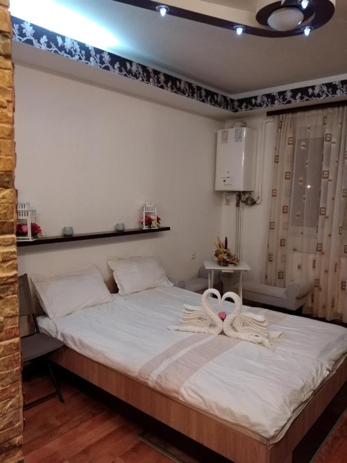 Alexandra 'S Studio Appartement Braşov Buitenkant foto