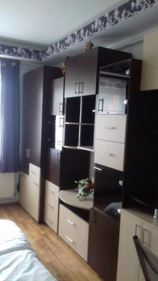 Alexandra 'S Studio Appartement Braşov Buitenkant foto